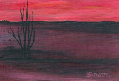 Pink Desert Twilight by Janine Brewster