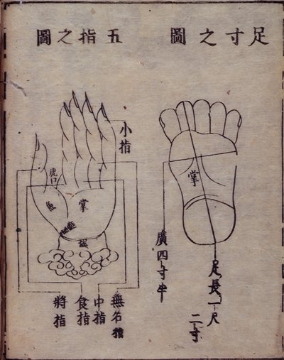 Diagram showing acupuncture points in the hands and feet, from a Japanese commentary of a Chinese work on acupuncture, the Shisijing fahui of 1341 by Hua Shou, Kyoto by Japanese School