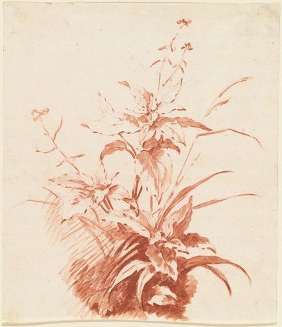 Flowering Plant with Grass by Jean-Baptiste Huet