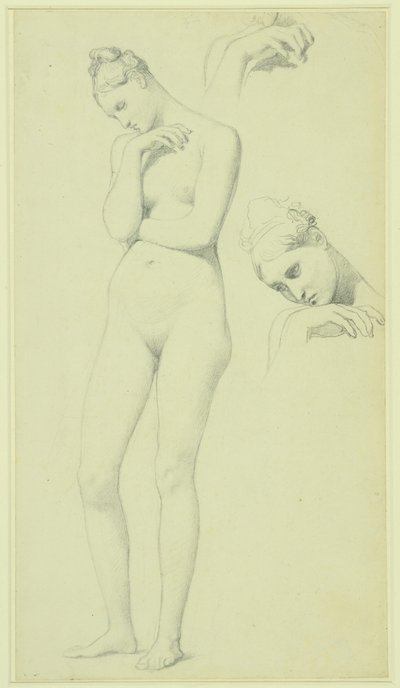 Studies for the figure of Stratonice, c.1834-40 by Jean Auguste Dominique Ingres