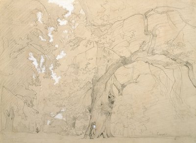 Young Man in Front of a Great Oak, c.1840 by Jean Baptiste Camille Corot