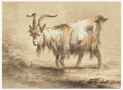 Study of a Goat, 1772 by Jean Baptiste Huet