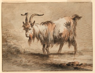 Study of a Goat, 1772 by Jean Baptiste Huet
