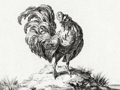 Chicken, Standing on a Hill by Jean Bernard