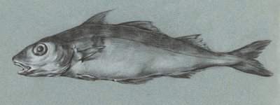 Fish Green by Jean Bernard
