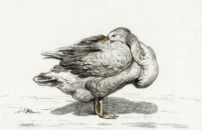 Goose by Jean Bernard