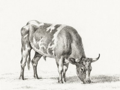 Grazing Bull by Jean Bernard