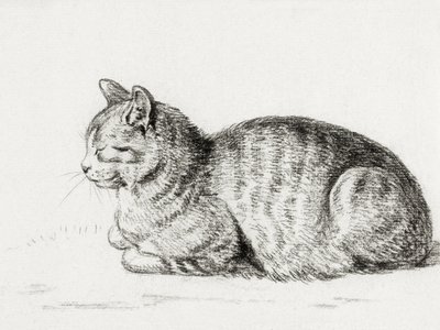 Lying Cat by Jean Bernard