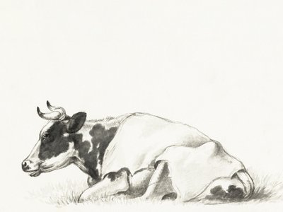 Lying Cow by Jean Bernard