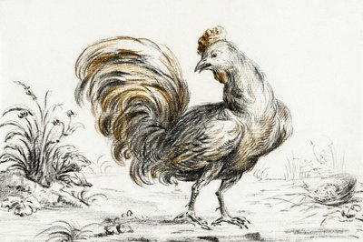 Rooster by Jean Bernard