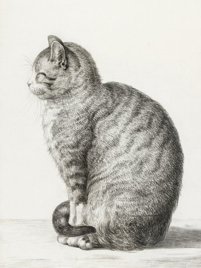 Sitting Cat by Jean Bernard