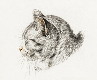 Sketch of a Cat by Jean Bernard