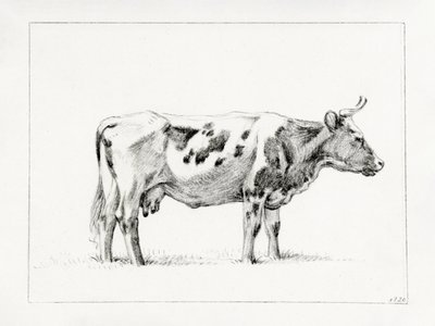 Standing Cow by Jean Bernard