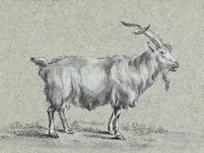 Standing Goat by Jean Bernard