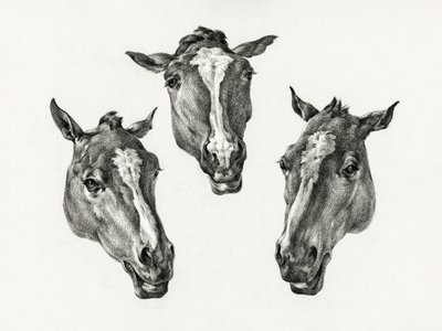 Three Horse Heads by Jean Bernard