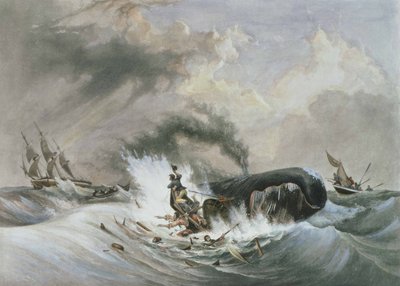 The Whale by Jean Francois (after) Garneray