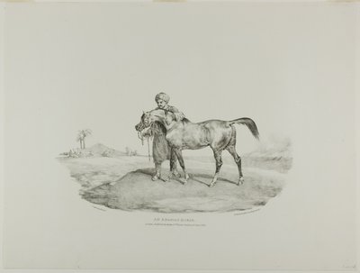 An Arabian Horse, plate 8 from Various Subjects Drawn from Life and on Stone (The English Suite) by Jean Louis André Théodore Géricault