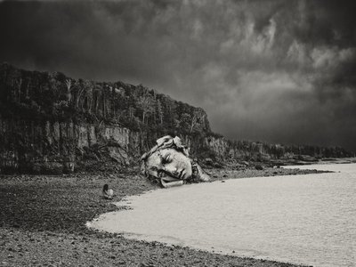 Fallen Stone Head by Jeffrey Hummel