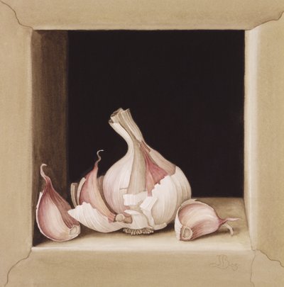 Garlic by Jenny Barron