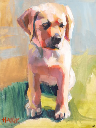 Hank by Jenny Westenhofer