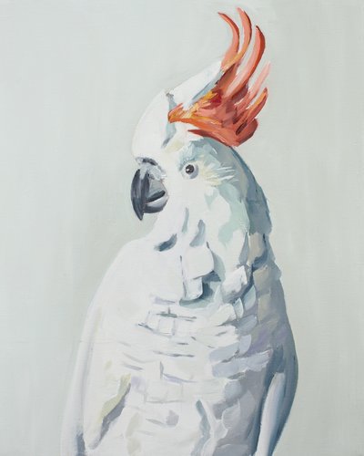 White Cockatoo by Jenny Westenhofer