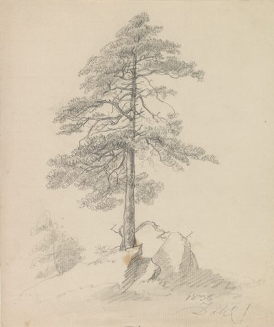 Pines and Cliffs by Johan Christian Dahl