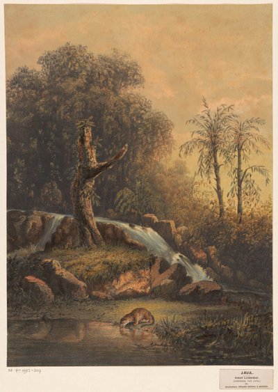 Landscape with Waterfall and Drinking Leopard by Johan Conrad Greive