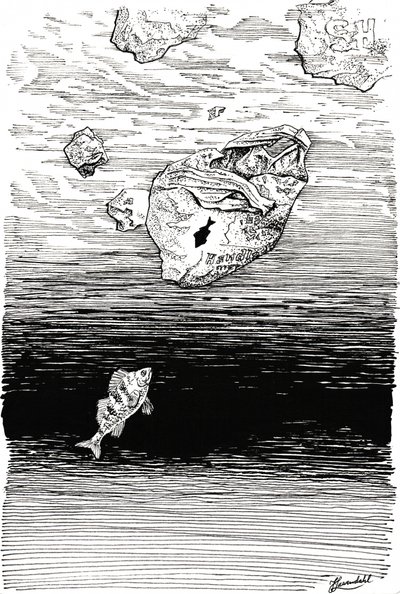 Fish Under Plastic by Johan Liewendahl