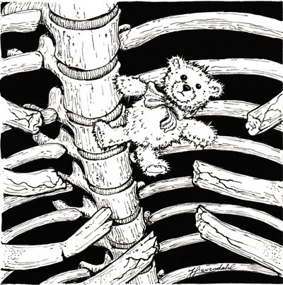 Skeletal Teddy Bear by Johan Liewendahl