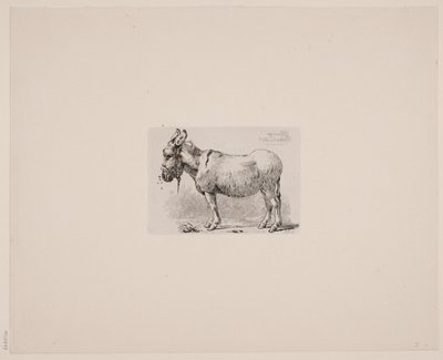 A Donkey Tormented by Flies by Johan Lundbye