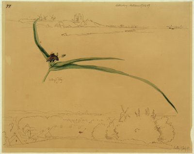 View of Kalundborg and Study of a Three-Masted Flower by Johan Thomas Lundbye