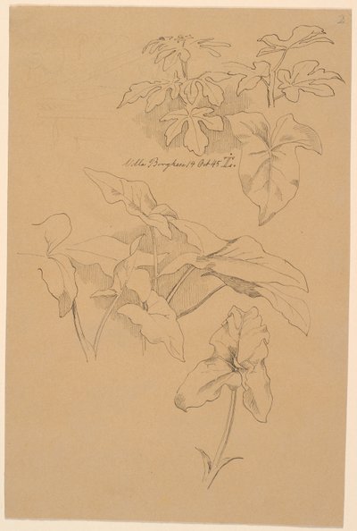 Leaf Studies Including a Calla. Top: Pencil Sketch of a Pediment by Johan Thomas Lundbye