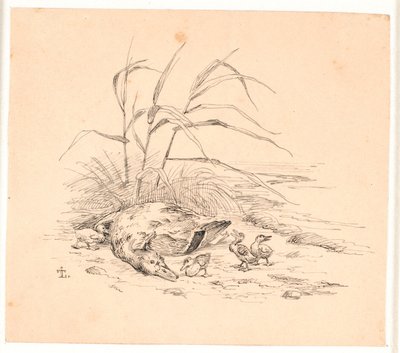 The Killed Wild Duck. Illustration for Kaalund