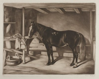 Horse in a Stable by Johann Adam Klein