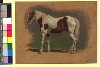 Horse Study by Johann Adam Klein