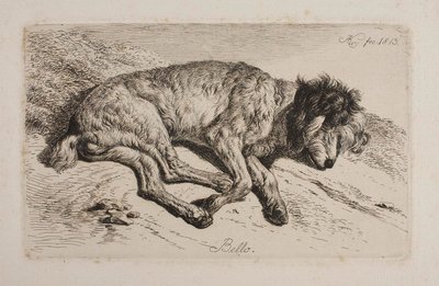 Sleeping Dog, Bello by Johann Adam Klein