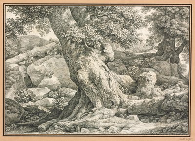 Tree Study on Rocky Terrain by Johann Christian Reinhart