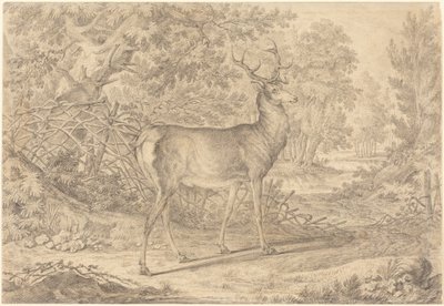 A Splendid Young Stag before a Wattle Fence by Johann Elias Ridinger