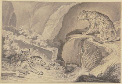 Two Jaguars with Their Young in a Rocky Crevice by Johann Elias Ridinger
