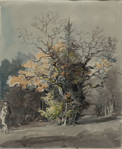 Group of Trees in Front of a Forest by Johann Georg von Dillis