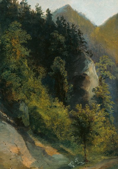 Wooded Rocky Valley with Goats by Johann Georg von Dillis