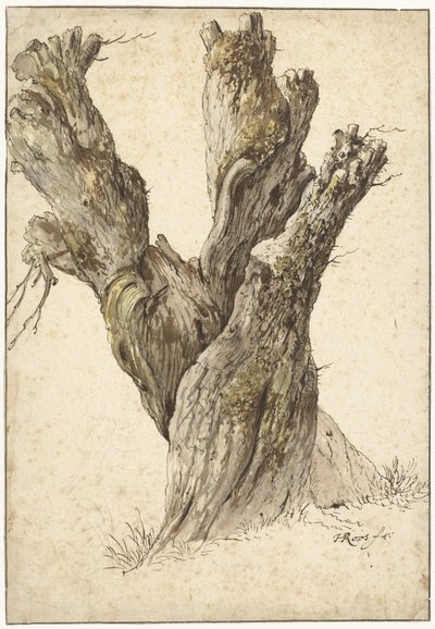 A Pollard Willow by Johann Heinrich Roos