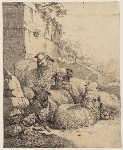 Four recumbent sheep and one standing sheep before a wall, sheet from the series “Sheep and Goats” by Johann Heinrich Roos