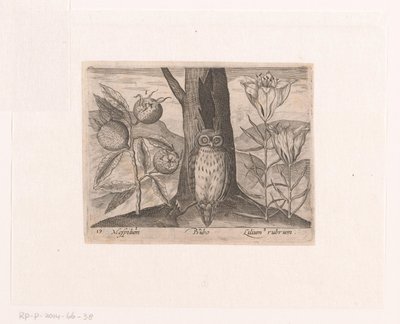 Series of Prints with Flowers and Animals in a Landscape Landscape with Medlar, Lily, and Owl by Johann Hogenberg