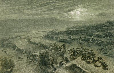 The Valley of Shepherds at Bethlehem by Johann Martin Bernatz