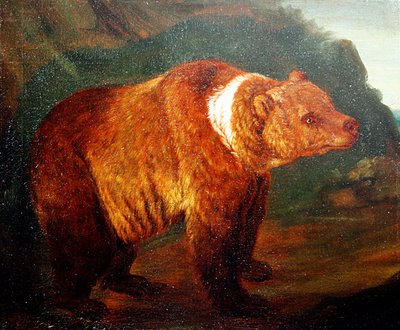 A Brown Bear in a Landscape, c.1719 by Johann Melchior Roos