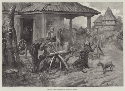 Shoeing Oxen and Horses at a Servian Smithy by Johann Nepomuk Schonberg