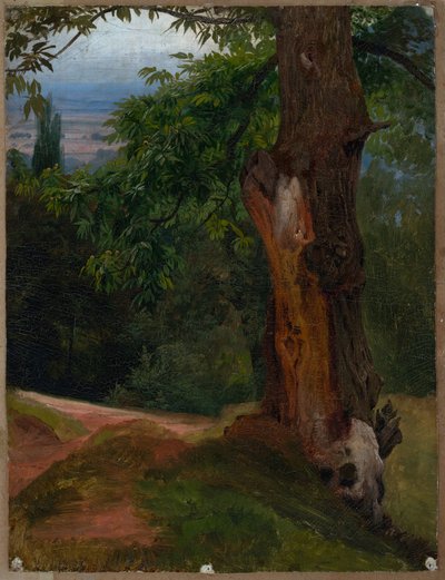 Tree Study with a View of a Valley by Johann Wilhelm Schirmer