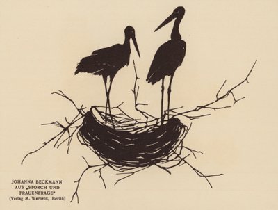Silhouette of a Stork