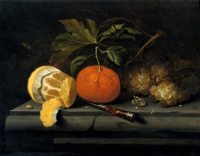 Fruits on a Table Setting of Stone by Johannes Borman